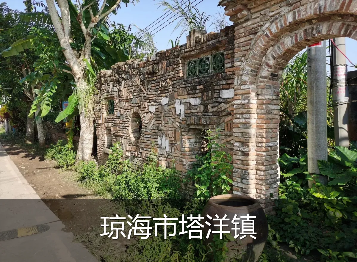 琼海市塔洋镇